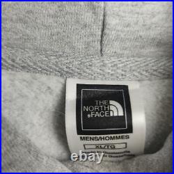 Hoodie Printed Logo The North Face Grey Brushed Back