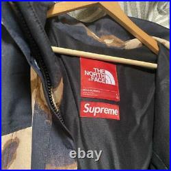Mens size L supreme the North face Supnorth Mountain Hoodie F/S JAPAN