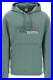 NEW_The_north_face_pixel_logo_print_hoodie_NF0A5ICK_BALSAM_GREEN_AUTHENTIC_NWT_01_obx