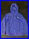 NORTH_FACE_SUMMIT_SERIES_Large_L3_Ventrix_Insulated_Hoodie_RETAIL_250_01_guap