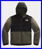 NWT_The_North_Face_Men_s_Denali2_Heavy_Fleece_Hoodie_Jacket_Taupe_Green_M_01_unv