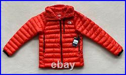 NWT? The North Face Summit Pro Series 800 Down Hooded Ski Jacket Sz L Flare