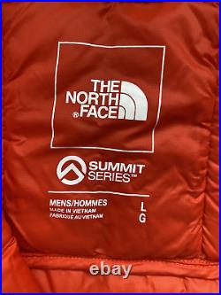 NWT? The North Face Summit Pro Series 800 Down Hooded Ski Jacket Sz L Flare