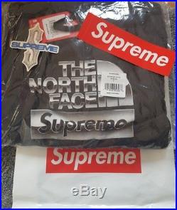 Neu Supreme x The North Face Metallic Hoodie Back Schwarz Size L SS18 NEW