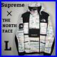 Supreme_THE_NORTH_FACE_Collaboration_Mountain_Hoodie_L_Size_Rare_Double_Zip_01_naxc