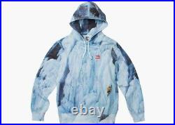 Supreme The North Face Ice Climb Hooded Sweatshirt Medium Multicolor SS21 NEW