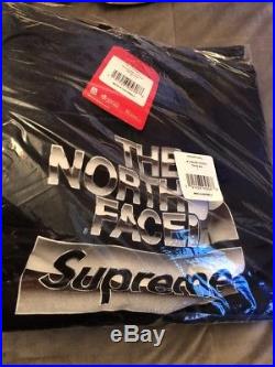 Supreme The North Face Metallic Logo Hooded Sweatshirt Black L 1000% Authentic