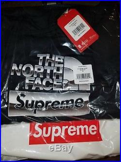 Supreme The North Face Metallic Logo Hooded Sweatshirt Black Medium Hoodie