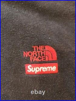 Supreme The North Face Statue of Liberty Hooded Hoodie Sweatshirt Black XL