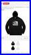 Supreme_X_The_North_Face_Metallic_Logo_Hoodie_Black_Large_Brand_New_Size_Large_01_pca