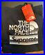 Supreme_X_The_North_Face_Metallic_Logo_Hoodie_New_withtags_Black_Size_Xl_01_ga