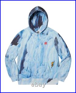 Supreme x The North Face Ice Climb Hoodie Size MEDIUM Order Confirmed
