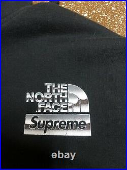 Supreme x The North Face Metallic Box Logo Hoodie Sweater Large