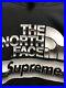 Supreme_x_The_North_Face_Metallic_Box_Logo_Hoodie_Sweatshirt_TNF_Bag_01_ffuq
