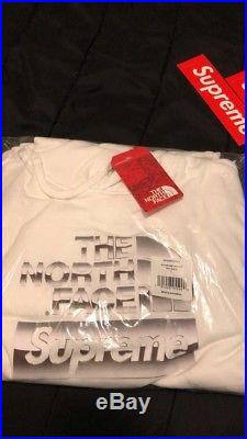 Supreme x The North Face Metallic Hoodie sz Large SHIPPED