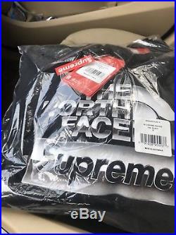 Supreme x The North Face Metallic Logo Hooded Sweatshirt Black Size small hoodie