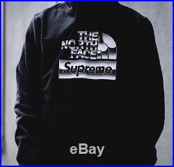 Supreme x The North Face, Metallic Logo, Hooded Sweatshirt, Hoodie, L, SS18
