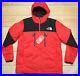 THE_NORTH_FACE_HIMALAYAN_LIGHT_SYNTH_HOODIE_RED_insulated_MEN_S_JACKET_L_01_ym