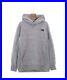 THE_NORTH_FACE_Hoodie_Gray_L_2200235205012_01_pzu