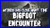 Terrifying_Close_Bigfoot_Encounter_01_xhjz