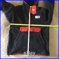 The North Face Campshire Hooded Fleece Pullover Polartec 300 Medium Hoodie