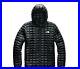 The_North_Face_MENS_THERMOBALL_ECO_HOODIE_black_Size_XL_01_cdjw