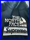 The_North_Face_x_Supreme_Metallic_Logo_Hoodie_SS18_Large_100_Authentic_Large_01_yni