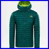 The_north_face_thermoball_jacket_hoody_botanical_garden_green_giacca_piumino_new_01_ym